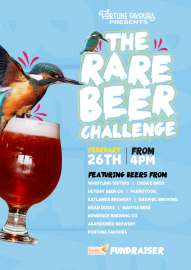 Rare Beer challenge poster